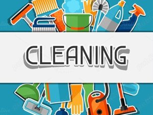 curățăm dezpezire curți si interioare curenții Poduri ETC