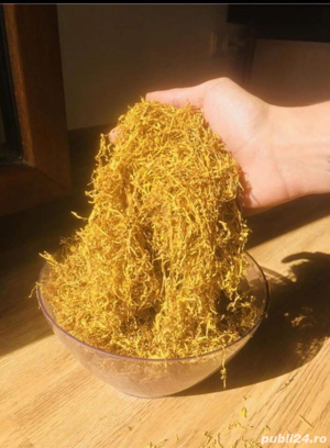 Vând tutun firicel și tocat premium !!!