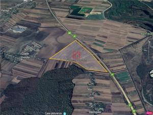 Vanzare teren agricol Gaiesti - Petresti - A1KM67, Dambovita