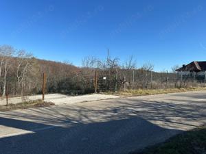 Teren de vanzare Babana(Slatioare-Ciobanesti - imagine 2