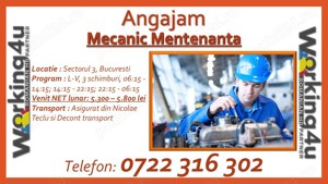 Mecanic Mentenanta