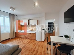 Apartament cochet cu 2 camere de inchiriat – confort si eleganta 