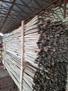 Prajini din lemn de eucalipt - imagine 2