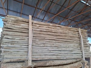 Prajini din lemn de eucalipt - imagine 4