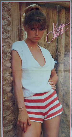Vinil Karen Cheryl - Karen Cheryl (1979) France Gatefold Red Translucent LP Limited Edition - imagine 2