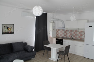 Regim Hotelier Timisoara (Braytim), Apart-Hotel - imagine 4