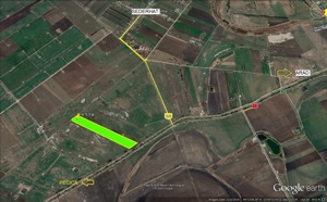 4,5 ha teren arabil Pecica