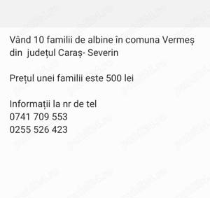 Vând 10 familii de albine în comuna Vermeș din județul Caraș-Severin - imagine 2