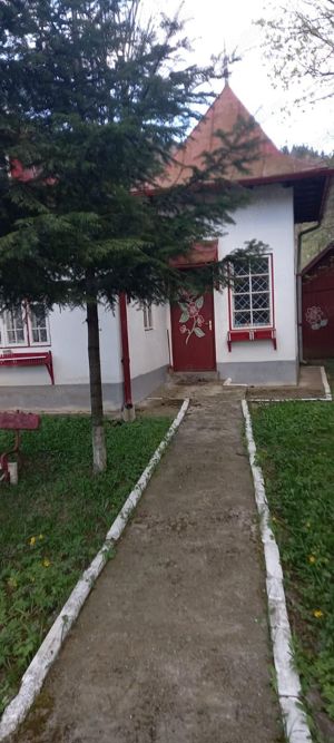 Teren Busteni 500mp - imagine 7