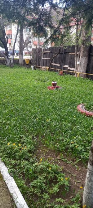 Teren Busteni 500mp - imagine 11