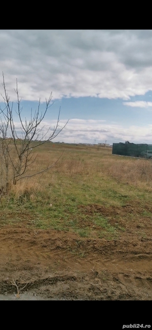 Teren 2000 mp - 30 e mp - imagine 5