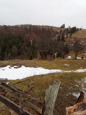 Teren de vânzare - imagine 2