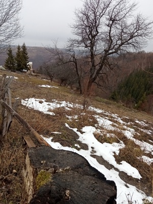 Teren de vânzare - imagine 4