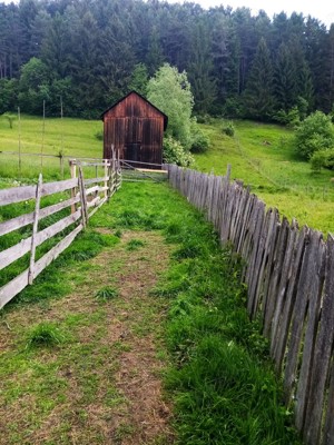 5283 mp TEREN INTRAVILAN in zona turistica montana Bucovina, VAMA - SUCEAVA, Romania - imagine 6