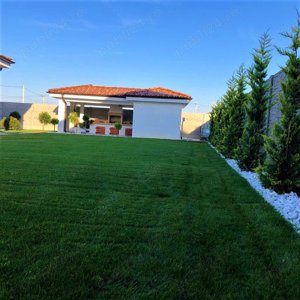 Servicii profesionale de gradinarit - imagine 3