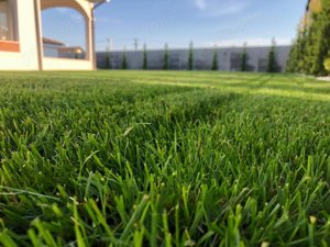   Preturi incepand de la 1 euro mp   Servicii peisagistice