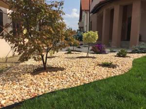 Servicii peisagistice