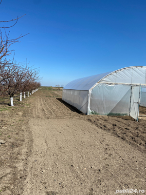 casa noua de vanzare (gostavatu, olt) - imagine 3