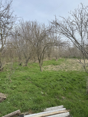 Vand Teren Intravilan - imagine 2