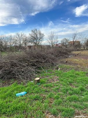 Servicii spații verzi  defrișare teren