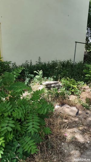 Defrișari terenuri  servicii spatii verzi