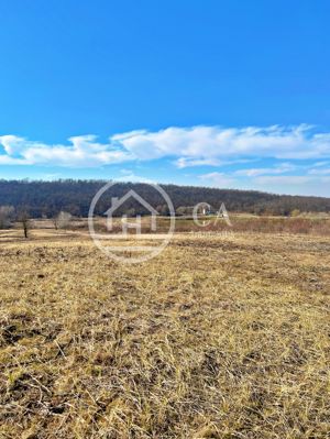 Teren 10.071 mp de vanzare in Paleu, Bihor - imagine 3