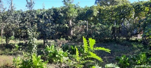 Casă de vânzare  - imagine 5