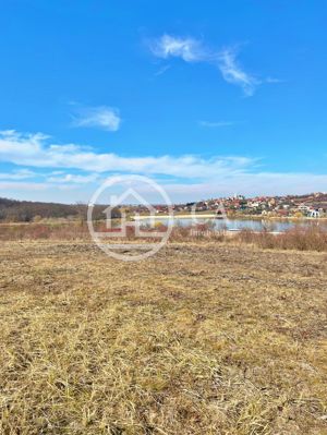 Teren 10.071 mp de vanzare in Paleu, Bihor - imagine 2