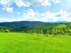 25.000 mp TEREN IDEAL AFACERE TURISM   amenajare LAC DE PESCUIT, Ciucea   Calea Lata, jud. Cluj