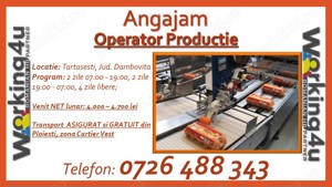 Operator Productie Fabrica de Cofraje pentru Oua