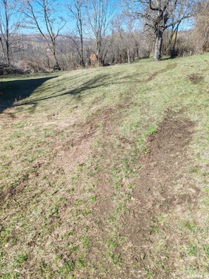 vânzare  - imagine 5