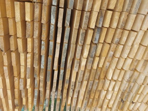 Cherestea rasinoase - imagine 2