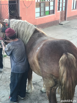 Vand 2 iepe  - imagine 2