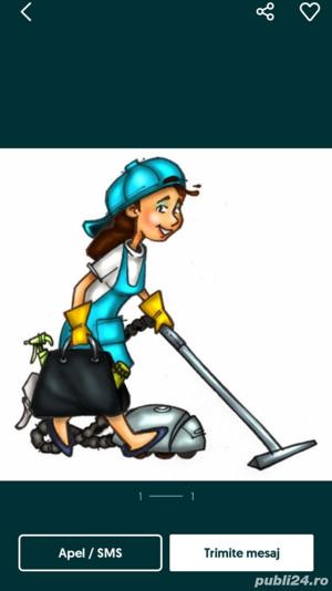 Servicii de curățenie și menaj.