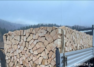 vand lemn de foc : fag sau stejar