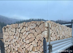 vand lemn de foc fag sau stejar