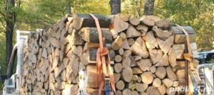 vand lemn de foc fag sau stejar