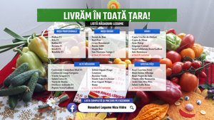 Rasaduri Rosii | Rasad Rosii Ardei Castraveti Vinete | Rasaduri Legume