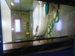 Casă adevărată Breaza Lidl Pepco eventual schimb - imagine 5