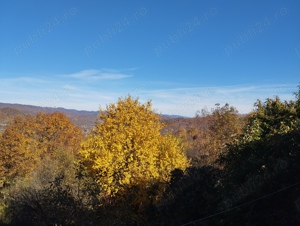 Casă şi livadă, de vânzare în localitatea Păuşeşti-Măglaşi, sat Coasta. - imagine 7