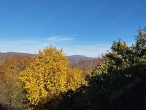 Casă şi livadă, de vânzare în localitatea Păuşeşti-Măglaşi, sat Coasta. - imagine 8