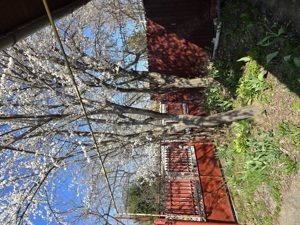 Casa de vanzare plus teren Damaroaia - imagine 10