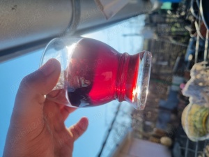 Vând vin de casă, natural!  - imagine 2