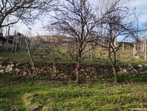 Teren de vanzare  - imagine 5