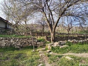 Teren de vanzare  - imagine 3