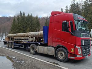 Angajez sofer profesionist categ C,E pe intern, garajul este in Bolintin Deal, GR - imagine 4