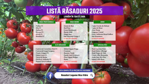 Vand Rasad Rosii Ardei Vinete Castraveti Telina | Rasaduri Legume 2026