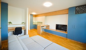 Tineretului  - Parcul Tineretului - Garsoniera - mobilata/utilata - cu parcare - imagine 4 Tineretului  - Parcul Tineretului - Garsoniera - mobilata/utilata - cu parcare - imagine 4