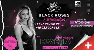Job pentru doamne ,domnisoare si trans in Berna (Elvetia)