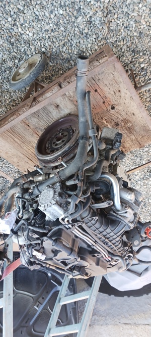 Desmembrez passat b6